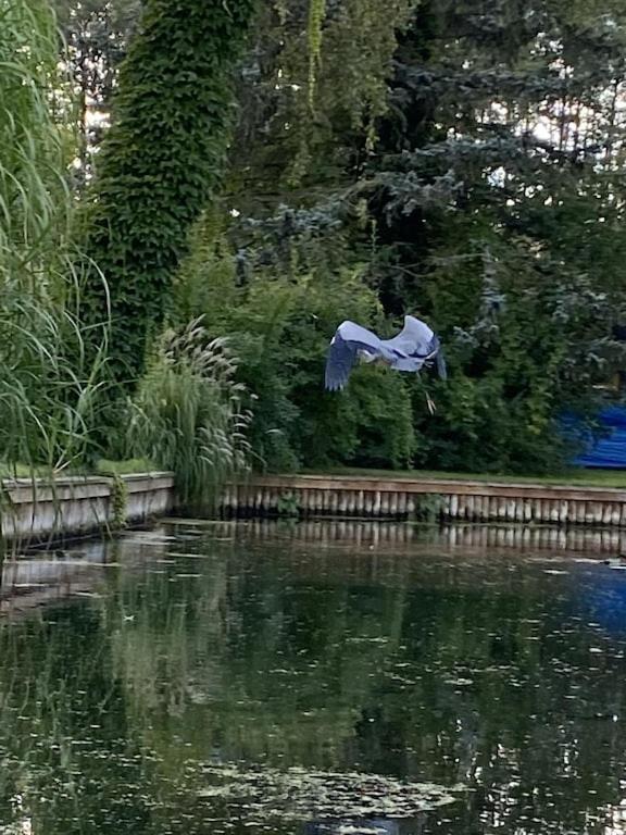 Holzhaus Mit Direktem Wasserzugang In Berlin-Koepenick Exterior foto